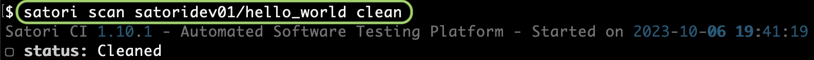 Clean Scan Repo